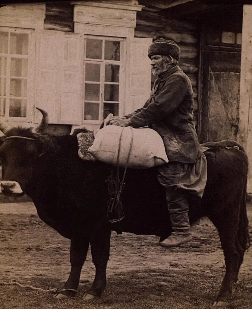 Запечатленная история