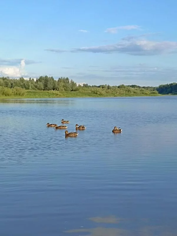 Фотонастроение