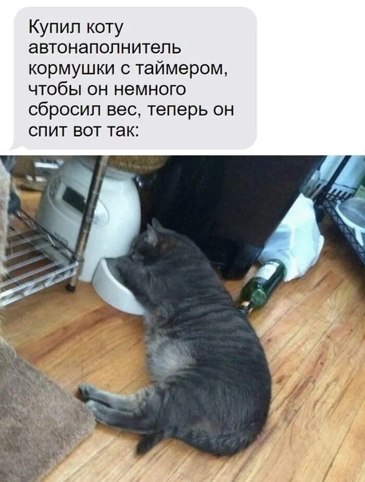 Посмеялся сам - поделись с другом!!!