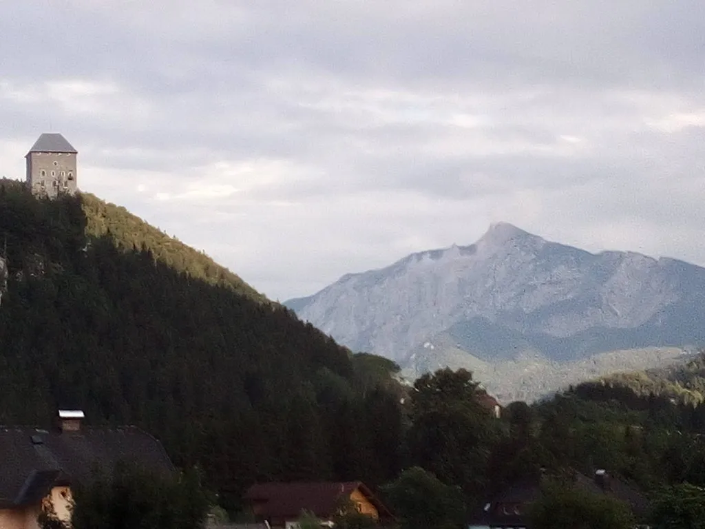 Tapтaлeтки & Ко