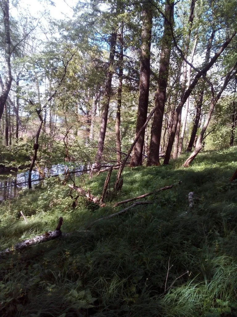 Чайная беседка