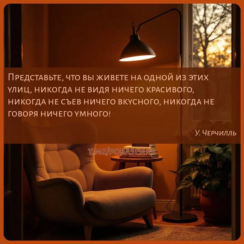 «Представьте, что вы живете на одной из этих улиц, никогда не видя ничего красивого, никогда не съев ничего вкусного, никогда...» height="550" width="550"