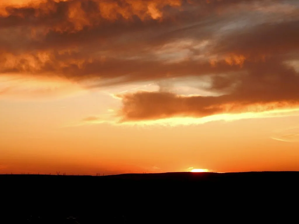 Чайная беседка