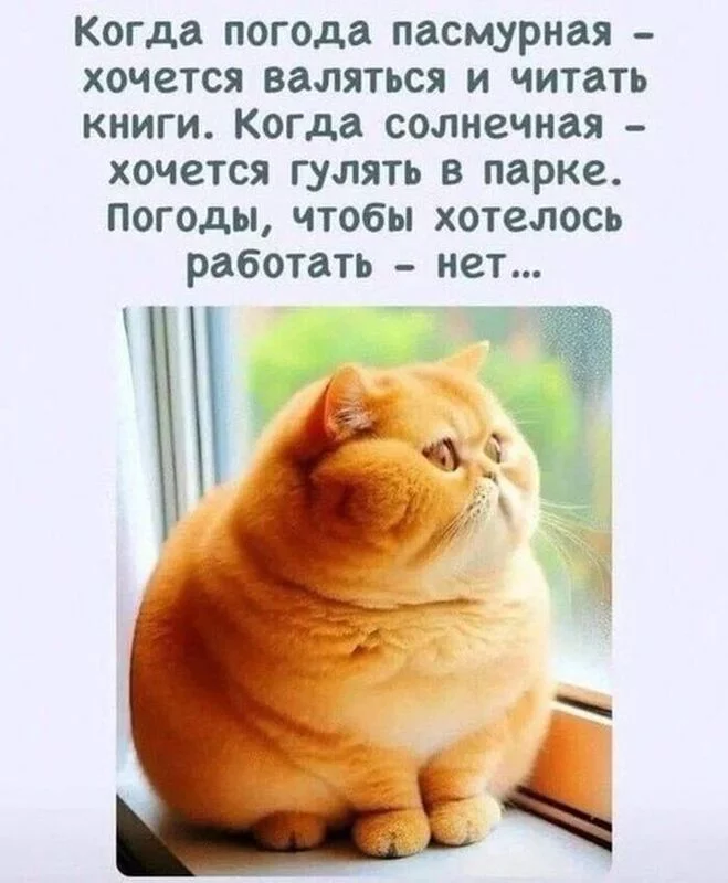 Позитивчик (фото, видео, рассказы для хорошего настроения)