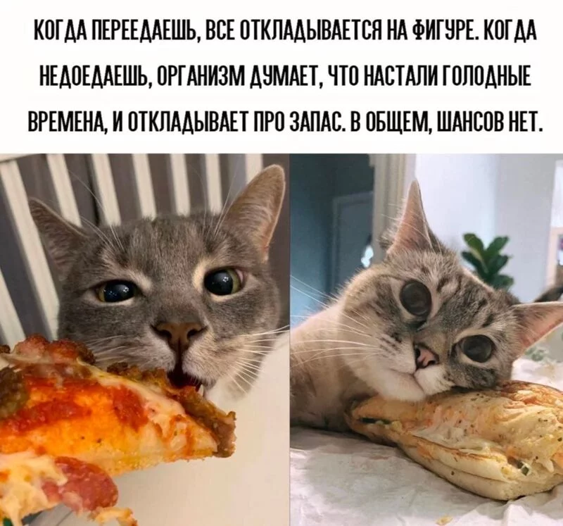 Посмеялся сам - поделись с другом!!!