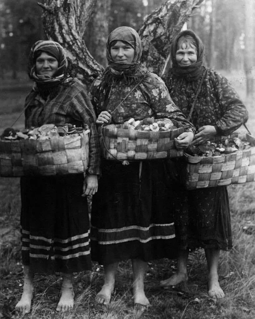Запечатленная история