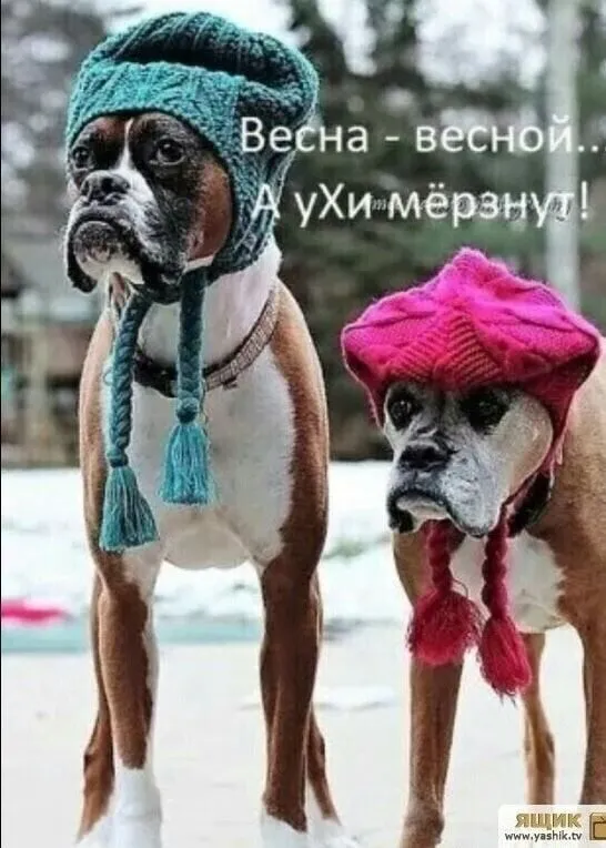 Кафе «У пани Сони»