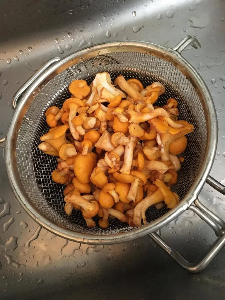 Чайная беседка