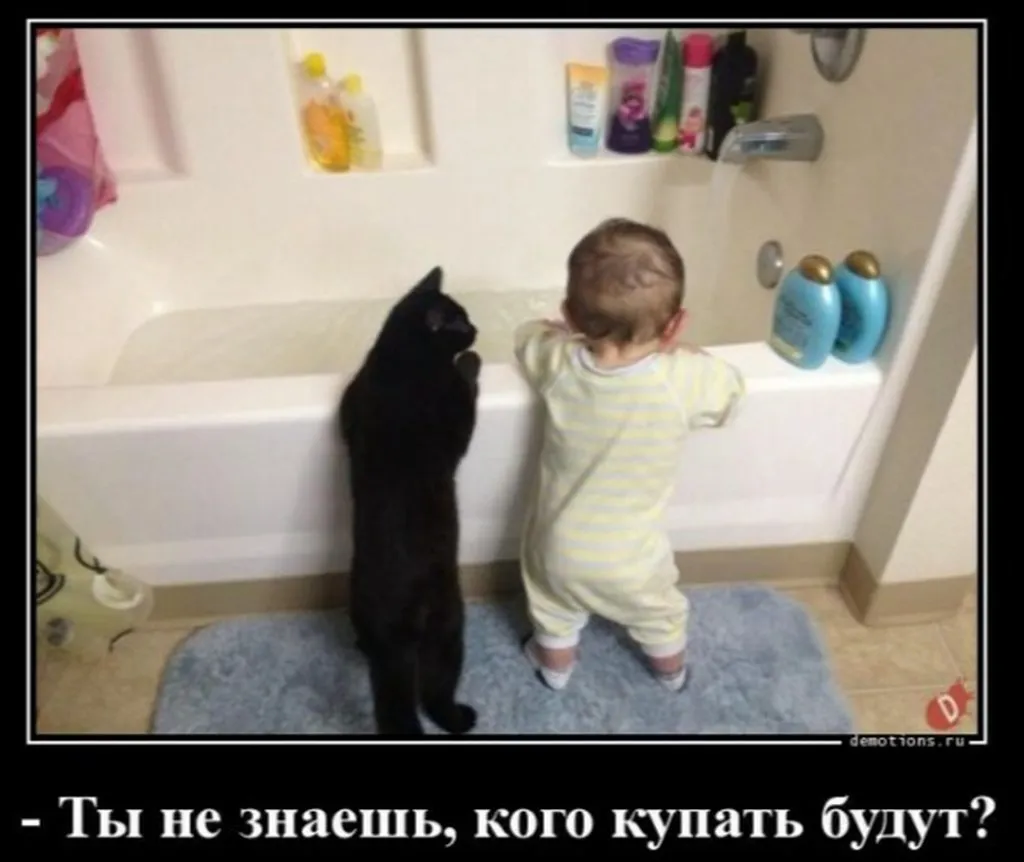 Посмеялся сам - поделись с другом!!!