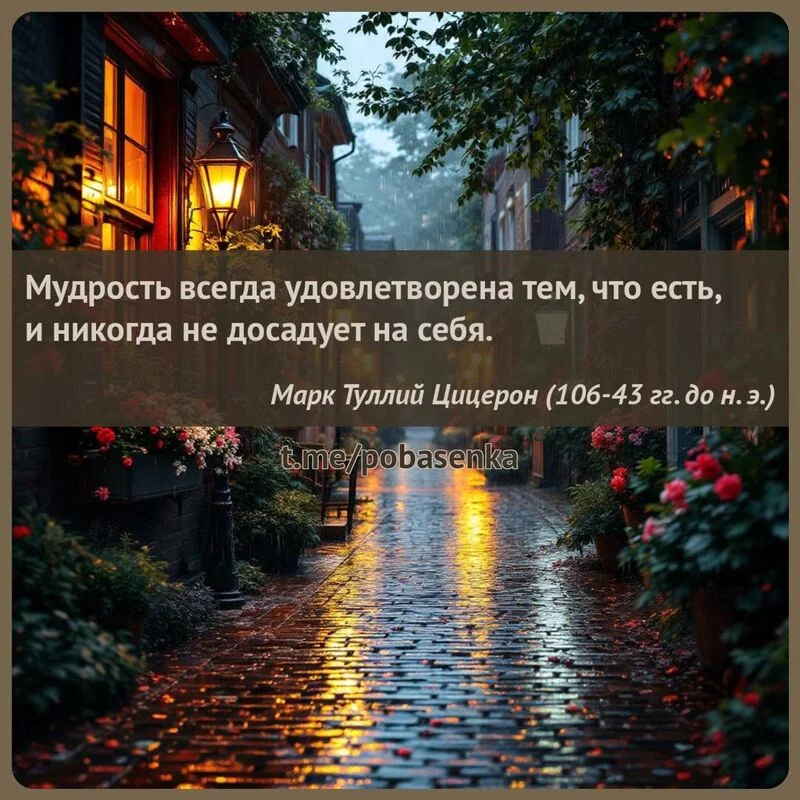 «Мудрость всегда удовлетворена тем, что есть, и никогда не досадует на...» height="550" width="550"