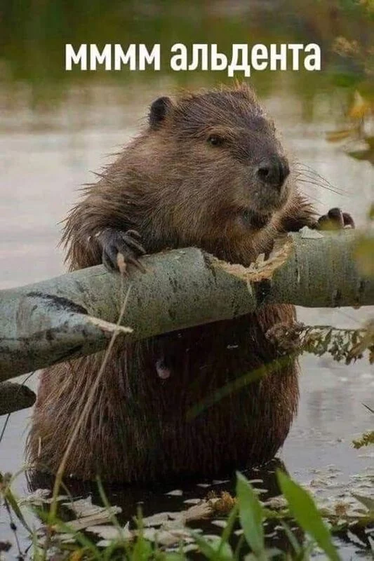 Посмеялся сам - поделись с другом!!!