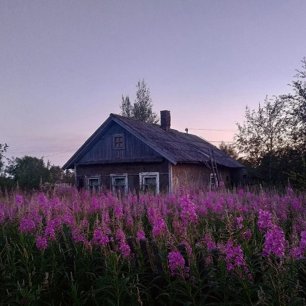 Чайная беседка