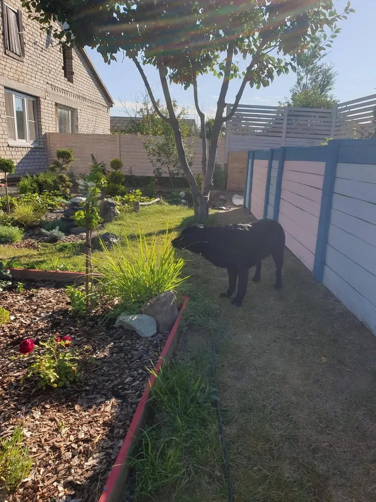 Чайная беседка