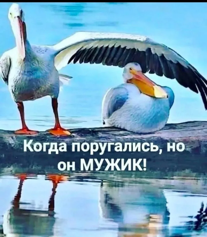 Посмеялся сам - поделись с другом!!!