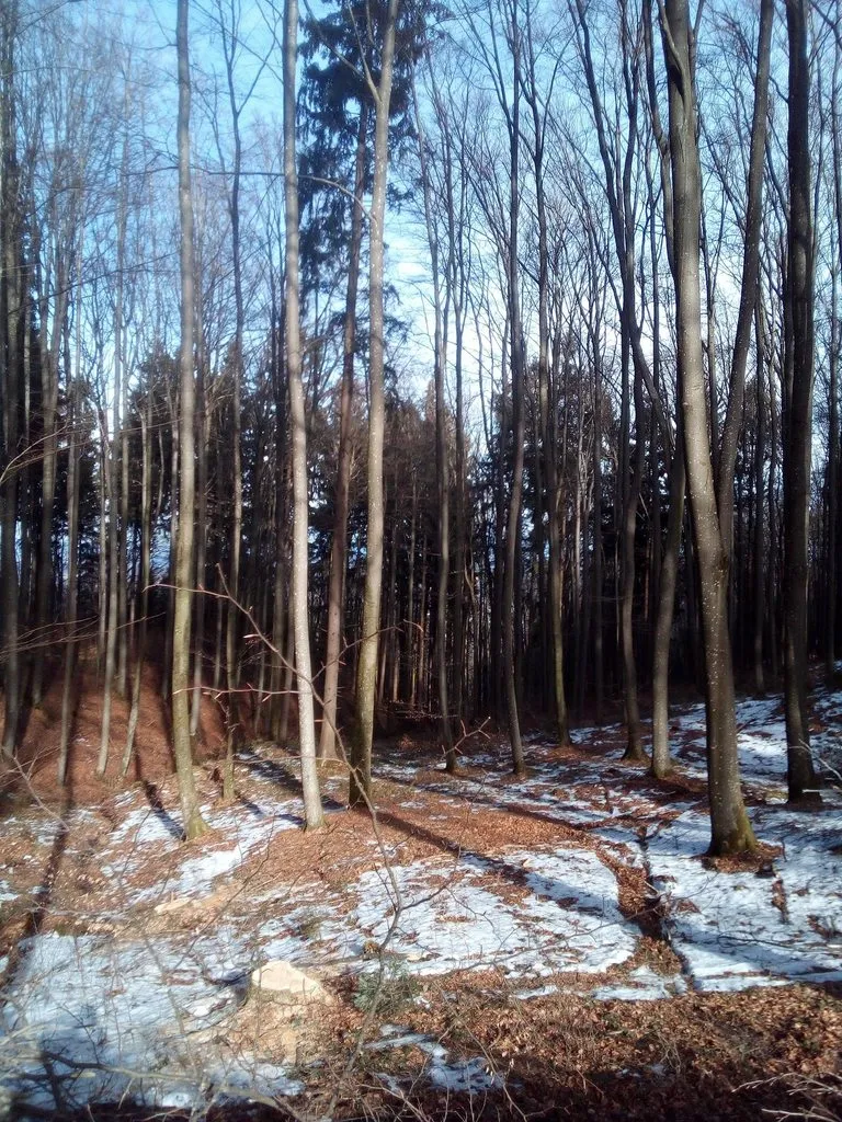 Чайная беседка