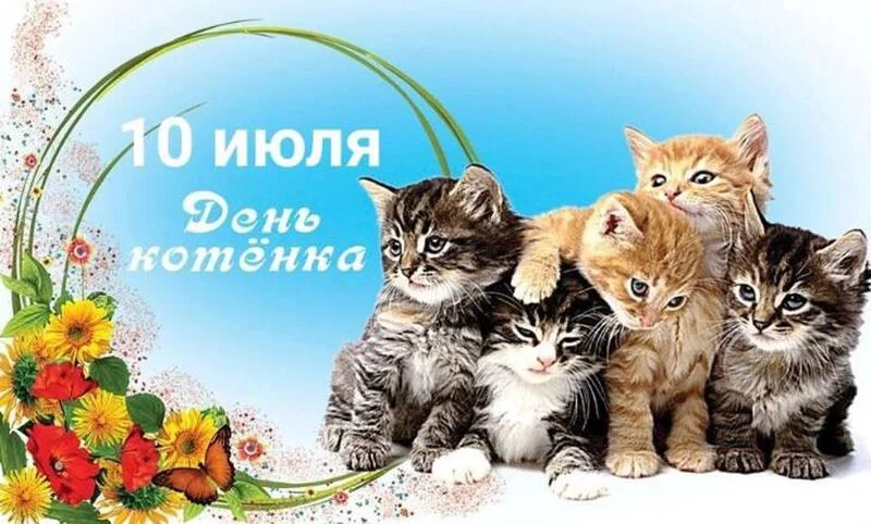 Кафе "У пани Сони"