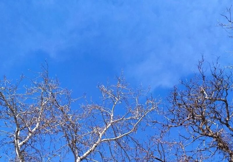 Такое разное небо