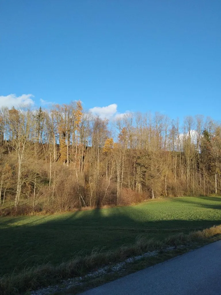 Чайная беседка