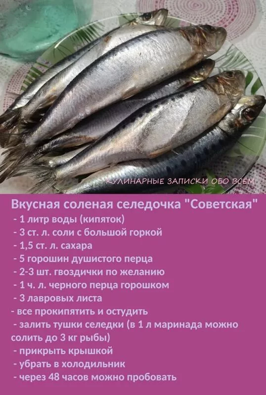 Кулинарная инфографика  в рецептах