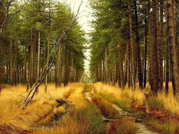 Арт галерея