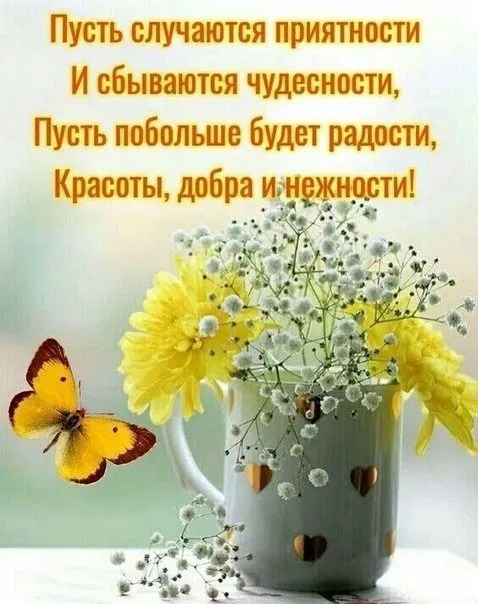 Кафе «У пани Сони»