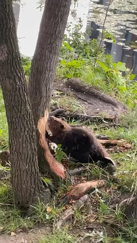 Коломенское