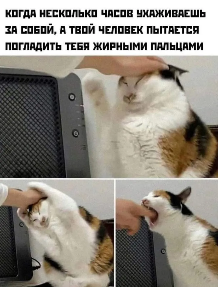 Кошичкина полиция