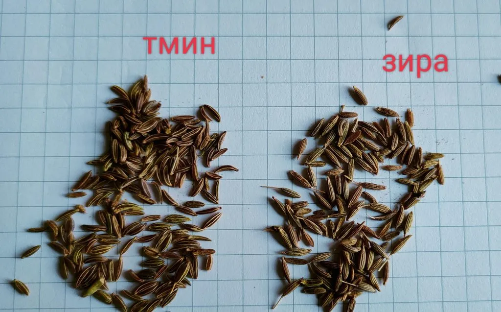 Ведёрки хлебопечек Панасоник