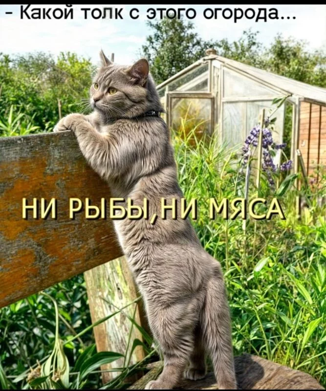 Посмеялся сам - поделись с другом!!!