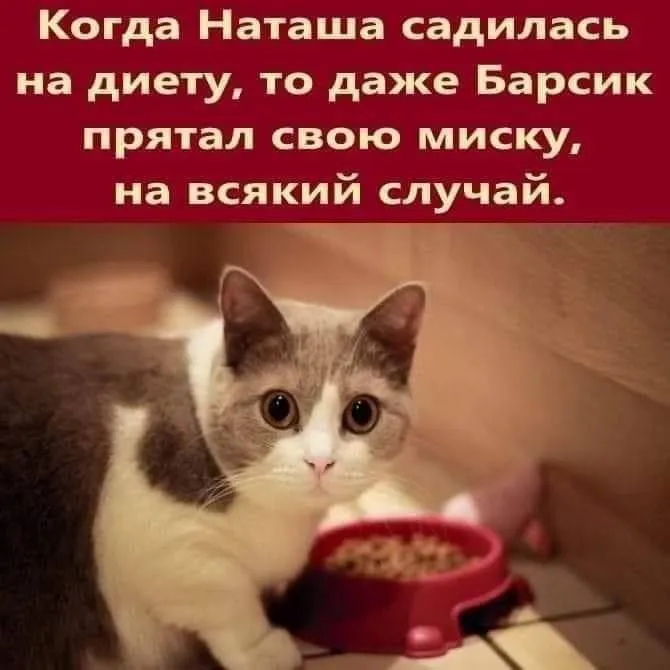 Посмеялся сам - поделись с другом!!!