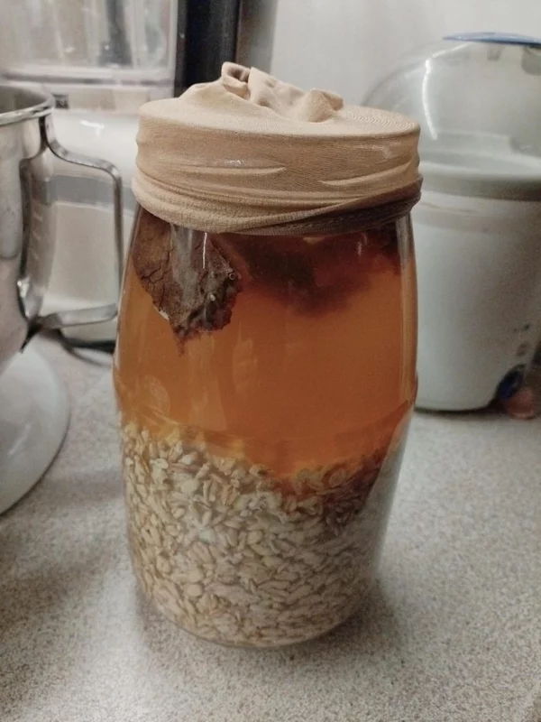 Кисель овсяный заквашенный