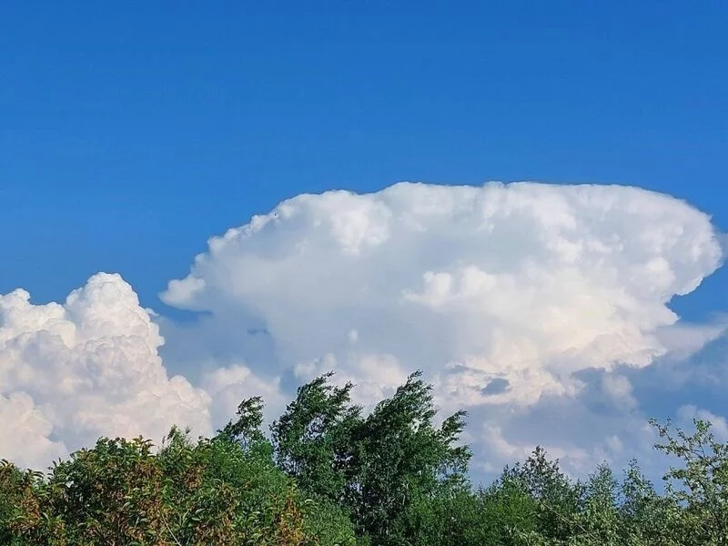 Такое разное небо