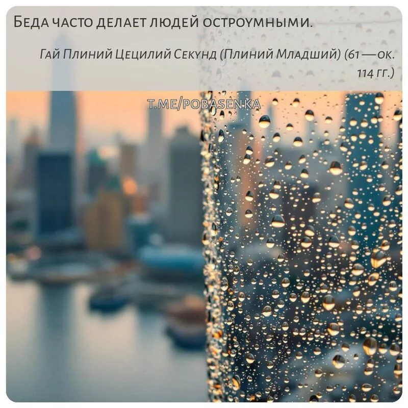 «Беда часто делает людей...» height="550" width="550"
