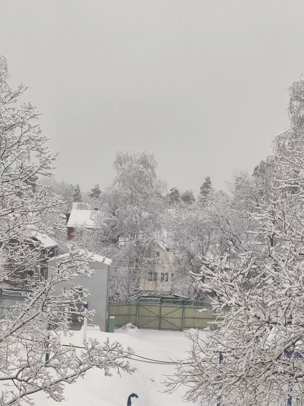Чайная беседка