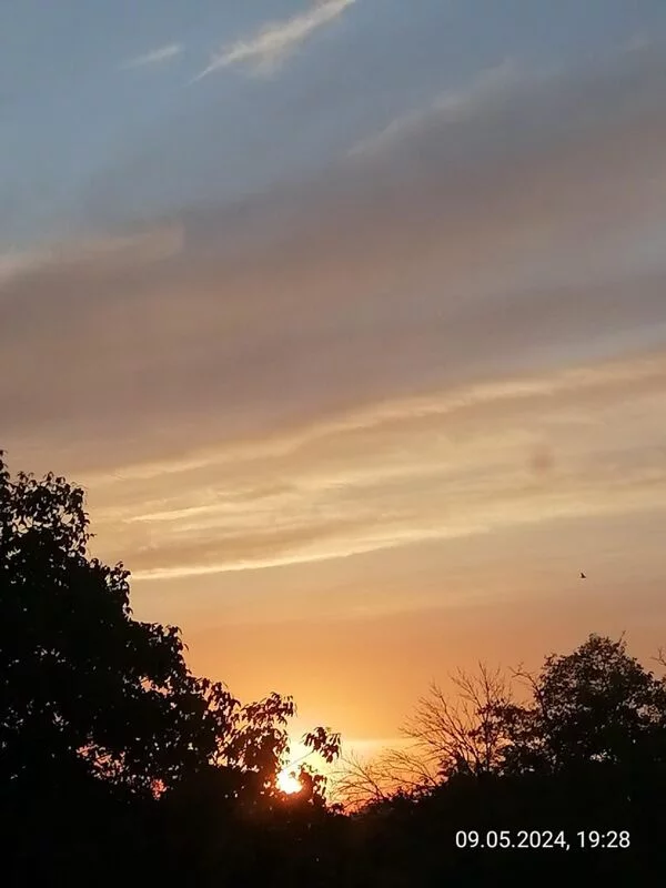 Такое разное небо