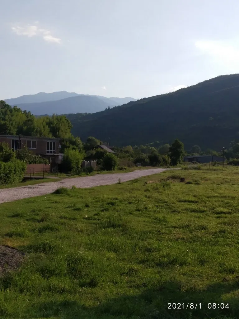 Tapтaлeтки & Ко