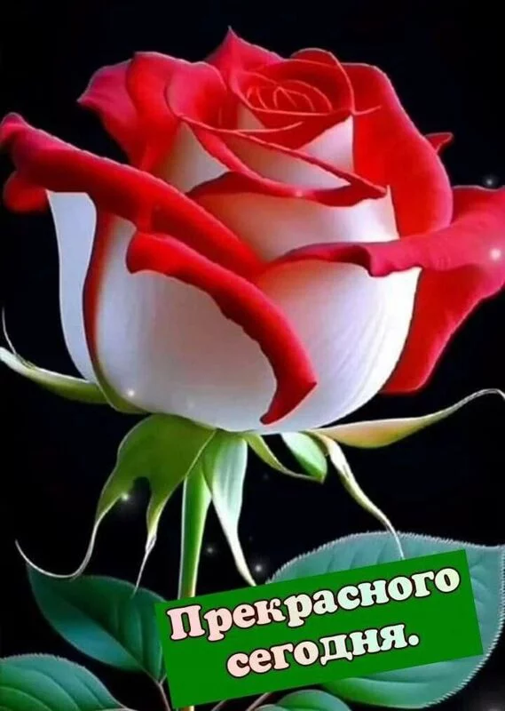 Кафе "У пани Сони"