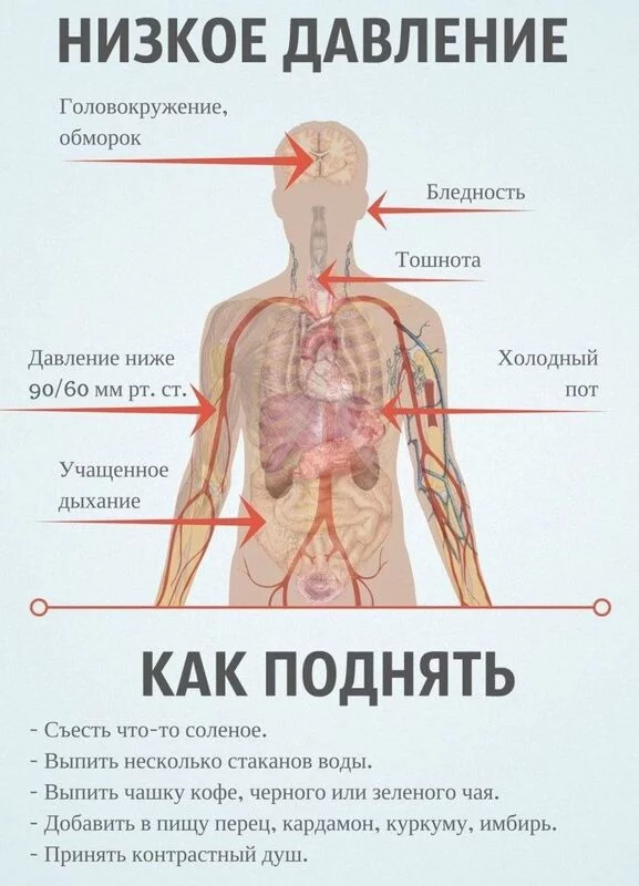 Медицинская инфографика
