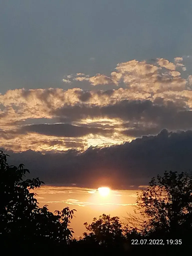 Чайная беседка