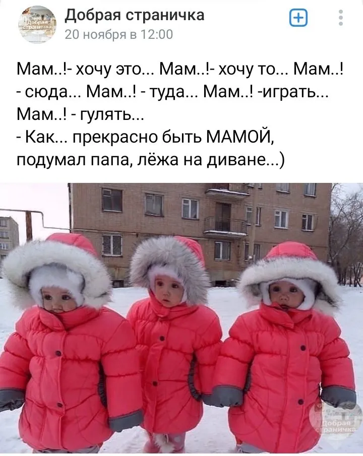 Позитивчик (фото, видео, рассказы для хорошего настроения)
