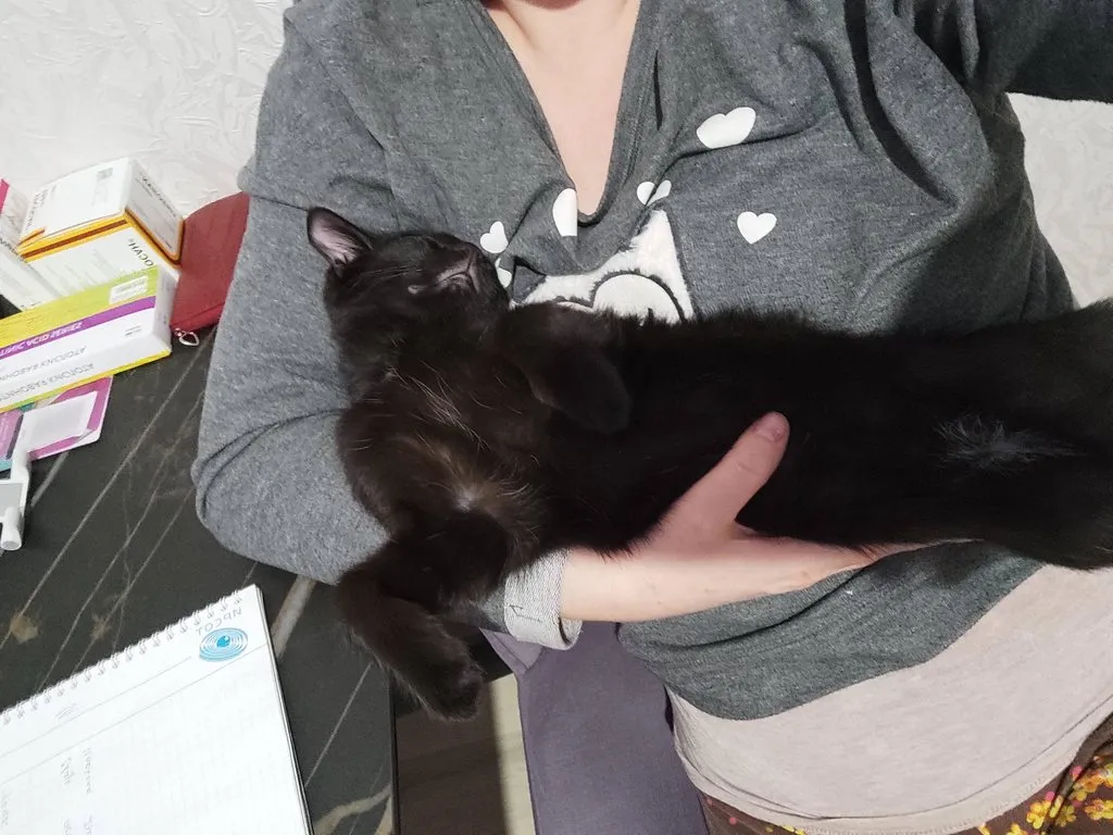 Tapтaлeтки & Ко