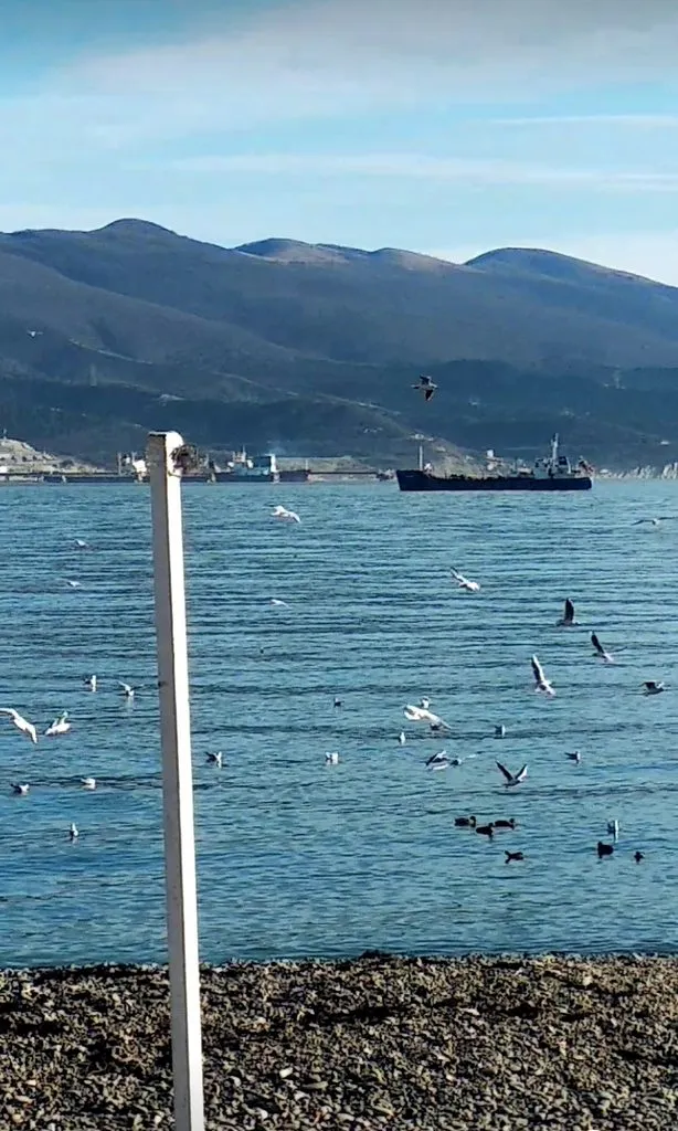 Кафе «У пани Сони»