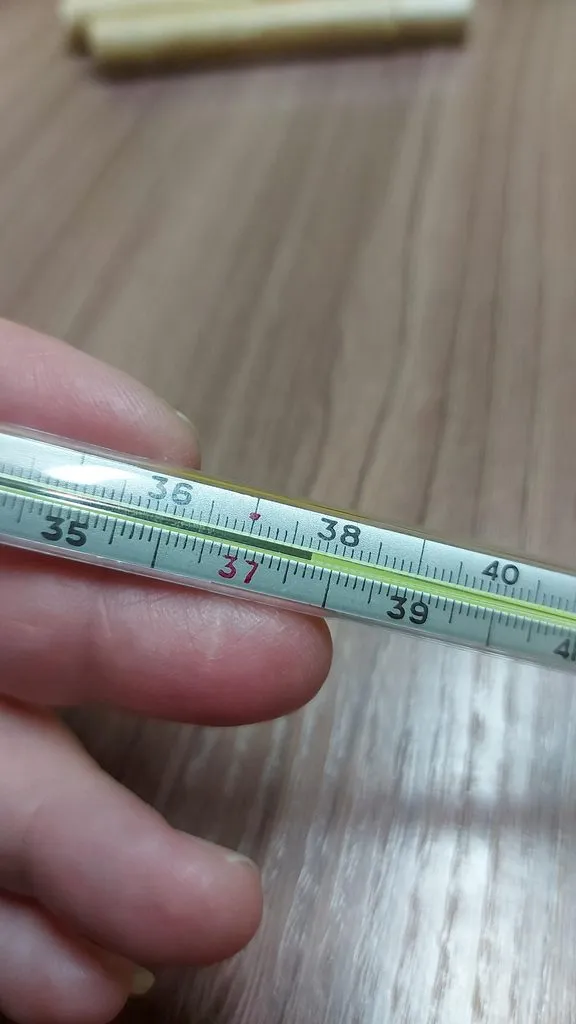 Tapтaлeтки & Ко