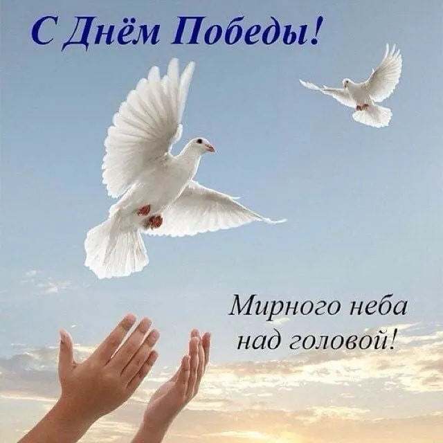 Кафе «У пани Сони»