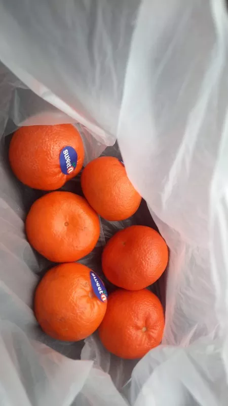 Где, что и когда купить в Москве