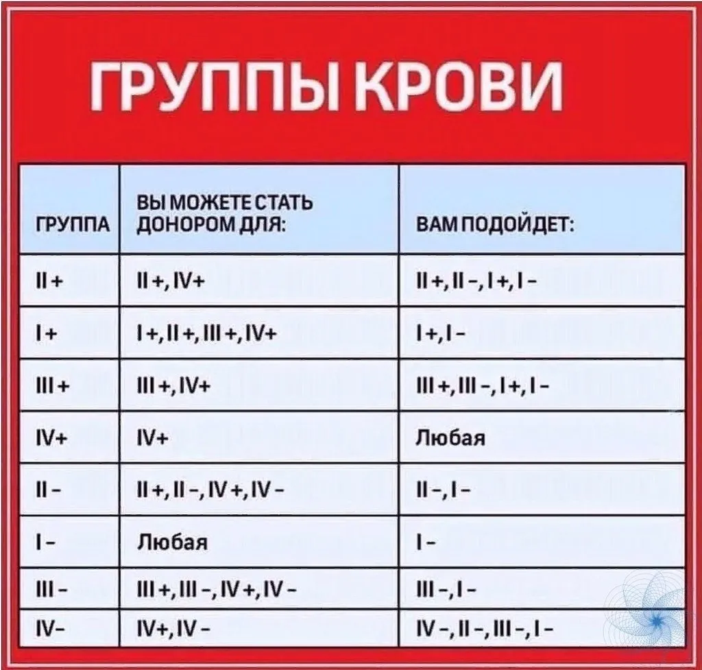 Медицинская инфографика