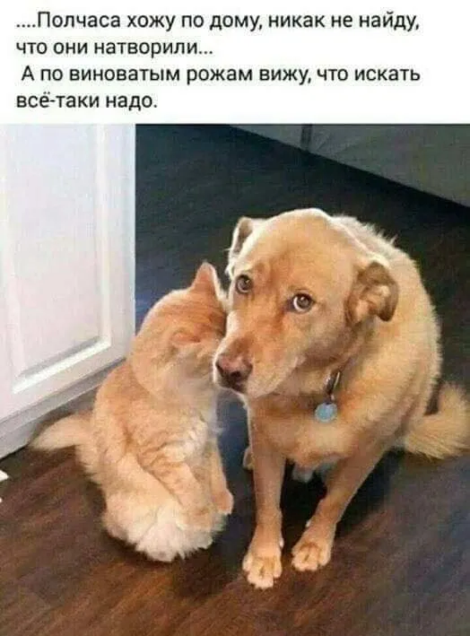 Посмеялся сам - поделись с другом!!!