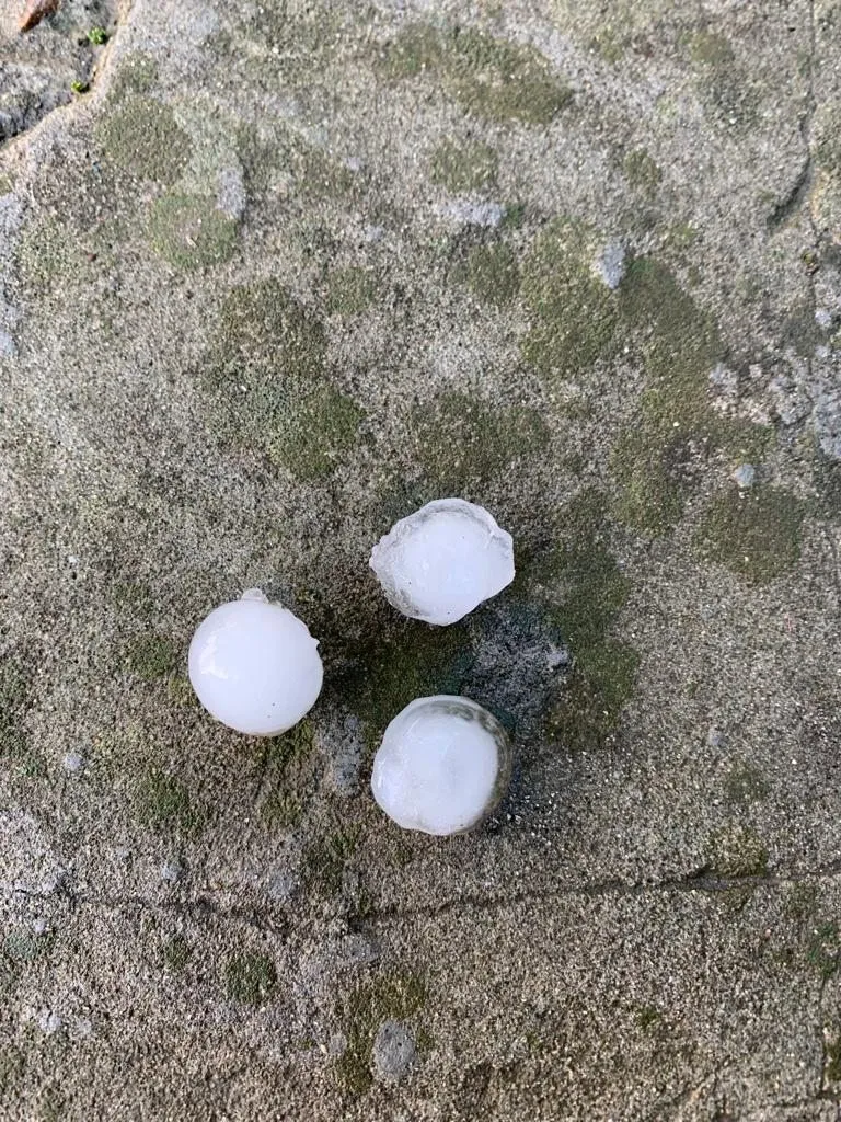 Чайная беседка