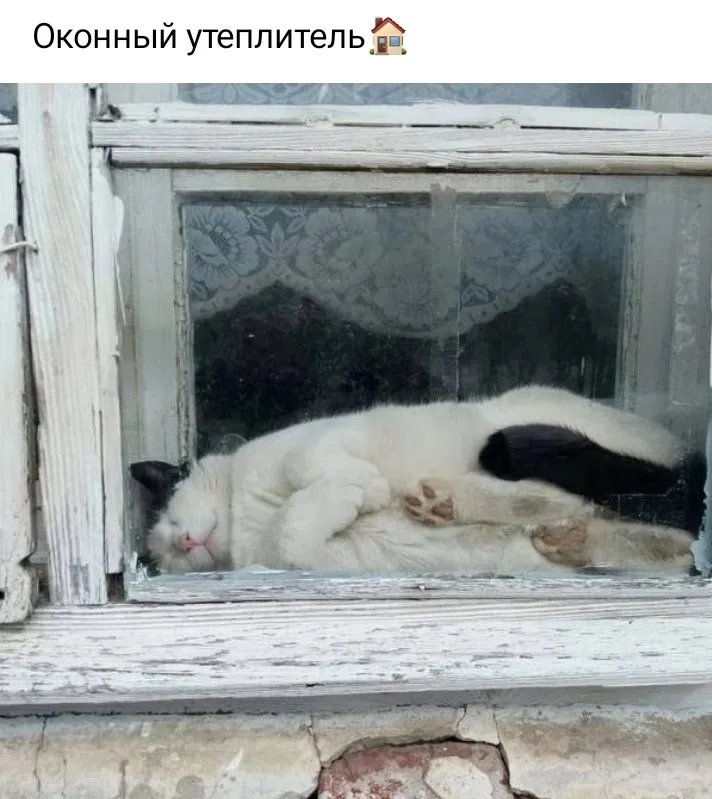 Посмеялся сам - поделись с другом!!!