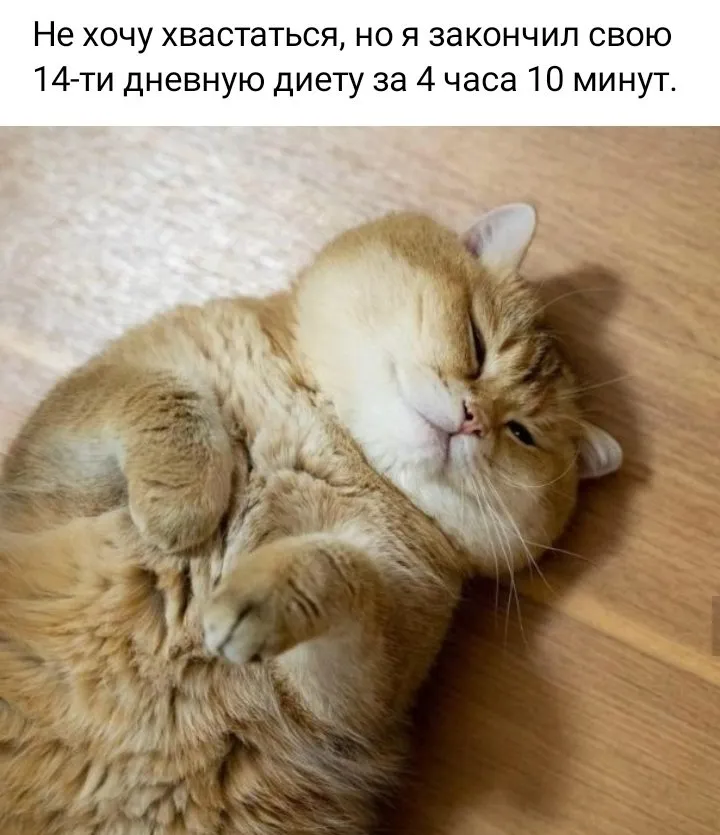 Кошичкина полиция